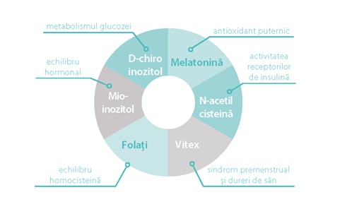 diagrama ingrediente inofem plus